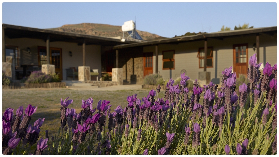 0 Bedroom Property for Sale in Laingsburg Rural Western Cape